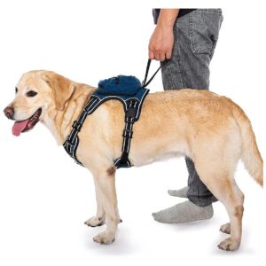 Soft Breathable No Pull No Choke Dog Vest with Front and Back Leash Hooks and Easy Fit