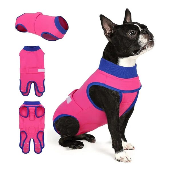 Soft, Breathable, and Versatile Recovery Suit for Dogs After Surgery