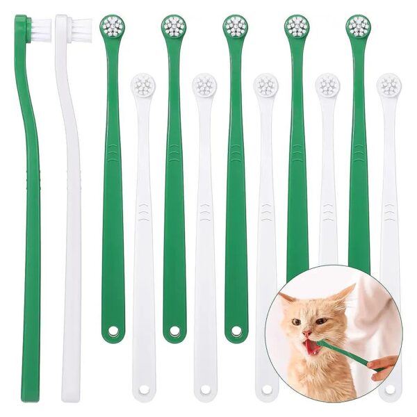 Soft Bristles & Long Handle for Puppies, Cats & Small to Large Dogs