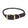 Soft Brown Leather Dog Collar with Solid Brass Hardware and Round Design