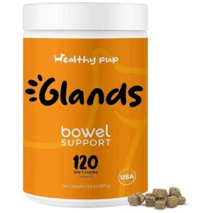 Soft Chews for Scooting and Healthy Anal Glands in Dogs with Pumpkin Powder