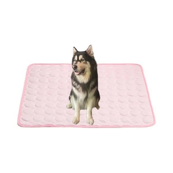 Soft Cooling Pet Bed Blanket Easy to Carry Outdoor Pet Bedding Pet Mat