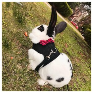 Soft Cotton Pet Harness for Small Animals with Reflective Leash - Size Medium Black