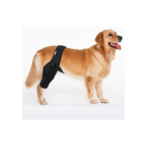 Soft Elastic Dog Knee Brace for ACL Joint Support Hind Leg S