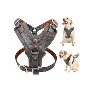 Soft, Heavy Duty Leather Harness for Corso, Catahoula, and European Doberman Breeds