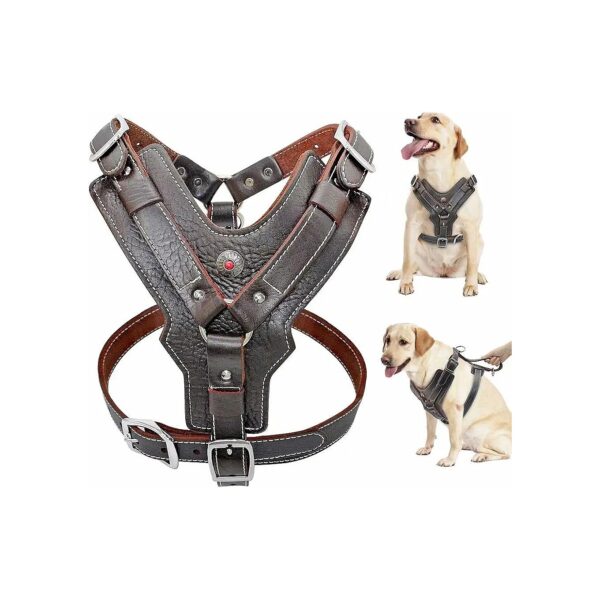 Soft, Heavy Duty Leather Harness for Corso, Catahoula, and European Doberman Breeds