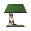 Soft Indoor Outdoor Dog Grass Potty System with Synthetic Turf for Pet Relief