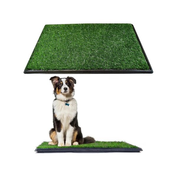 Soft Indoor Outdoor Dog Grass Potty System with Synthetic Turf for Pet Relief