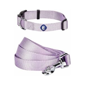 Soft Lavender Nylon Webbing Dog Collar and Leash Bundle for Small Breed Dogs