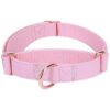 Soft Leather Martingale Dog Collar with Adjustable Rose Gold Buckle for Gentle Training