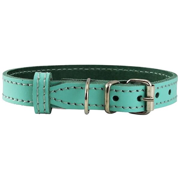 Soft Leather Turquoise Dog Collar for Small Dogs and Puppies Available in 3 Sizes