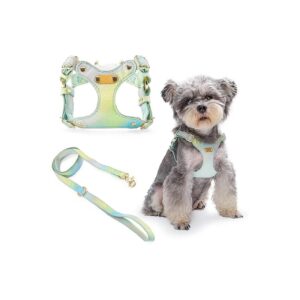 Soft Lightweight Puppy Harness Vest for Easy Walk XS to Small Dogs