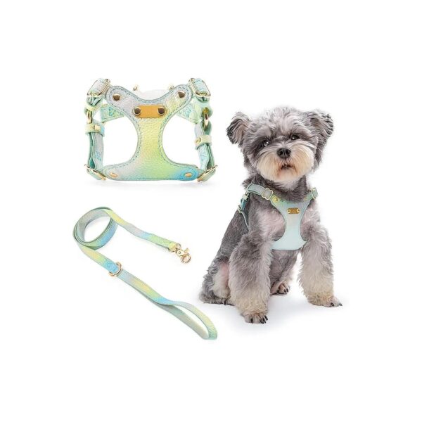 Soft Lightweight Puppy Harness Vest for Easy Walk XS to Small Dogs