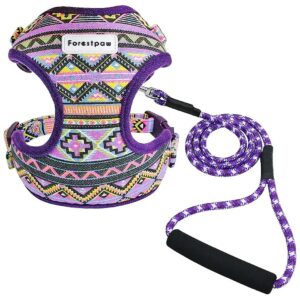 Soft Mesh Adjustable Puppy Harness with Leash Set for Small Dogs with Chest Size 11-14