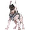 Soft Mesh Dog Harness for Small Dogs - Breathable, Adjustable, Reflective Strips, No Pull