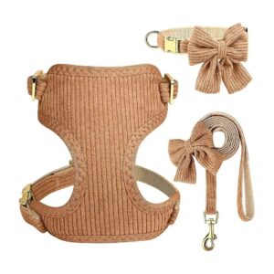 Soft Mesh Padded Vest for Puppies and Small Dogs, Brown, M Size