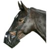 Soft Muzzle with Adjustable Straps and Lycra Fabric for Horses in Breeding and Farming