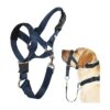 Soft Navy Blue Canine Halter Harness with Expert Training Guide for No-Pull Walking