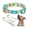 Soft Neoprene Padded Dog Collar and Leash Set for Medium Dogs Comfortable Adjustable