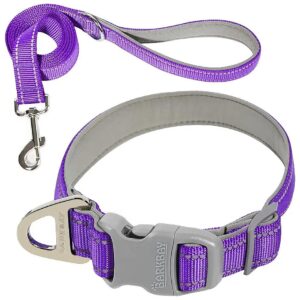 Soft Neoprene Padded Dog Collar with Leash for Medium Large Dogs Reflective Trim