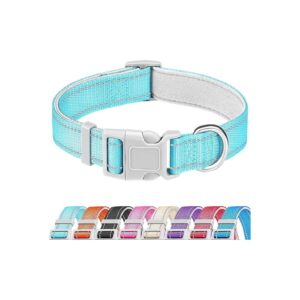 Soft Neoprene Padded Turquoise Nylon Dog Collar with Reflective Material for Medium Dogs