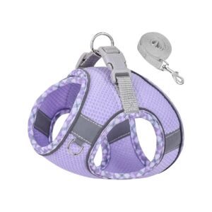 Soft No Pull Puppy Dog Harness and Leash Set for Small Medium Dogs