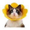 Soft Nonwoven Flower Shape Cat Collar for Puppies Kitten Small Dogs After Surgery