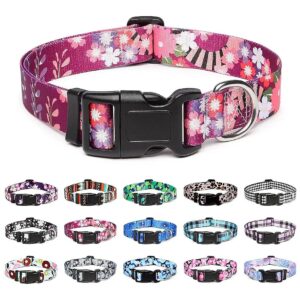 Soft Nylon Adjustable Collar with Unique Flower Pattern for Small Medium Large Dogs