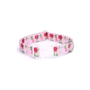 Soft Nylon Dog Collar with Adjustable Durable Buckle for Small Medium Large Dogs Pink XS