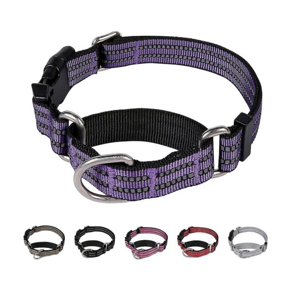 Soft Nylon Dog Collar with Martingale Design and Buckle for Gentle Training Control