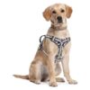 Soft Oxford Vest Harness with Leash Clips and Nylon Handle for Small Medium Large Dogs