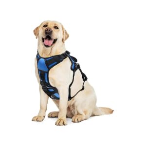 Soft Padded Adjustable Dog Vest Harness for Anti-Pull Walking Hiking Training