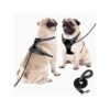 Soft Padded Dog Chest Harness with Adjustble Leash for Small to Large Dogs