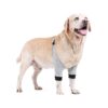 Soft Padded Dog Elbow Sleeve for Small Medium Dogs After Surgery with Easy On-Off Design