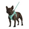 Soft Padded Dog Harness for Training and Walking Extra-Small to Large Size Dogs