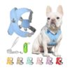 Soft Padded Dog Leash with Reflective No Choke No Pull No Chew Blue XS Small Dogs