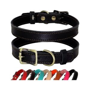 Soft Padded Leather Dog Collar for Puppies and Small Dogs, 7 Beautiful Colors