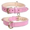 Soft-Padded Leather Dog Collar in Blush Pink for Small and Medium Breeds