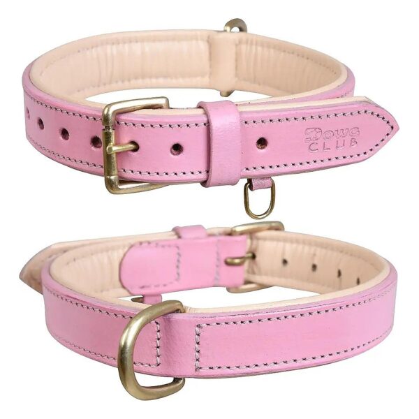 Soft-Padded Leather Dog Collar in Blush Pink for Small and Medium Breeds