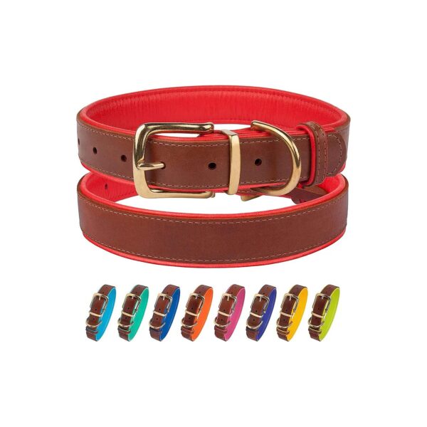 Soft Padded Leather Dog Collar with Brass Buckle for Small Medium Large Dogs - Red