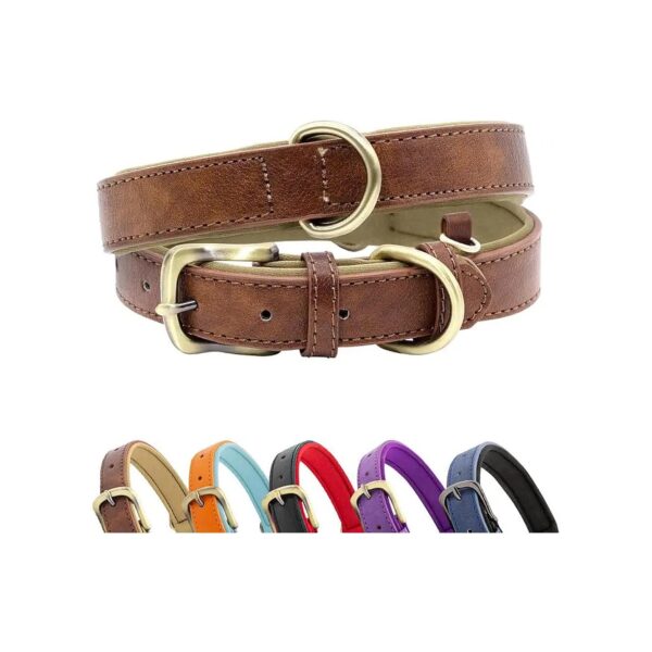 Soft Padded Leather Dog Collar with Metal Buckle for Small Medium Dogs