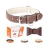 Soft Padded Leather Dog Collar with Rustproof Brass Buckle for Large Dogs and Comfort