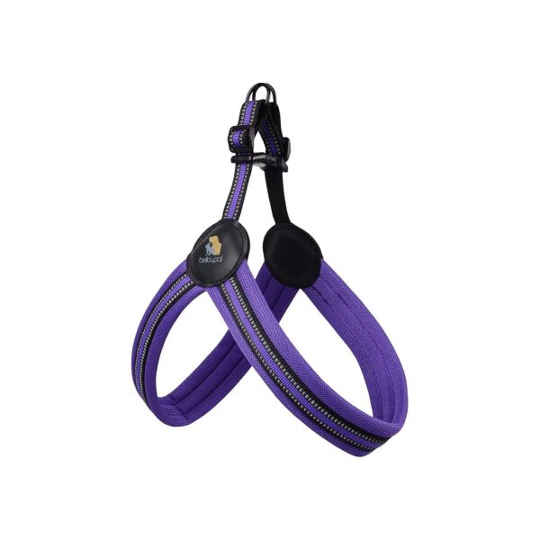 Soft Padded Mesh Dog Harness with Reflective Strips, No-Choke, and Easy Adjustment