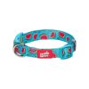 Soft Padded Neoprene Dog Collar in Watermelon Blue for Medium Dogs with Durable Hardware