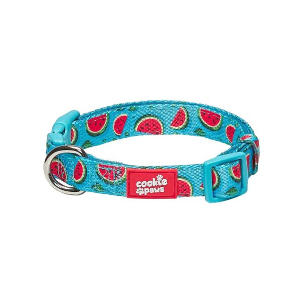 Soft Padded Neoprene Dog Collar in Watermelon Blue for Medium Dogs with Durable Hardware