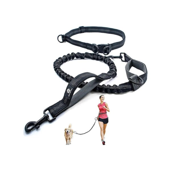 Soft Padded Neoprene Handles and Reflective Bungee for Comfortable Hands Free Dog Leash