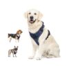 Soft Padded Pet Vest with Easy Control Handle for Small to Large Dogs