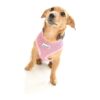 Soft Padded Pink Dog Harness with Dog Pattern Design for Small Breeds