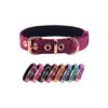 Soft Padded Reflective Nylon Dog Collar with Metal Buckle for Small Medium Large Dogs