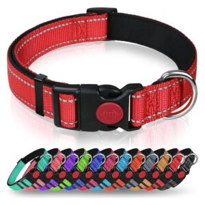 Soft Padded Reflective Nylon Dog Collar with Safety Buckle for Large Dogs Red